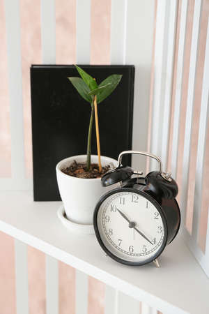 Alarm clock with houseplant and book on shelfの写真素材