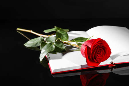 Beautiful red rose and blank book on dark backgroundの写真素材