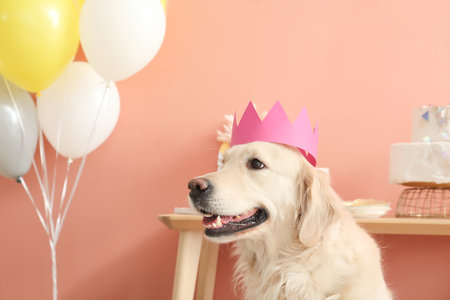 Adorable dog celebrating birthday at homeの写真素材