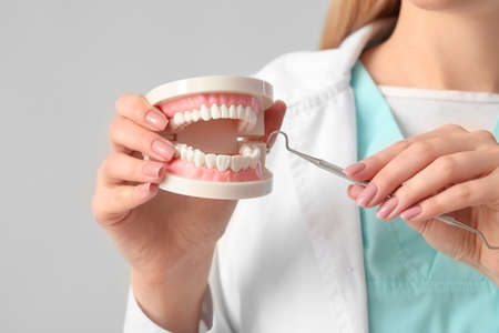 Female dentist with plastic jaw model on light background, closeup