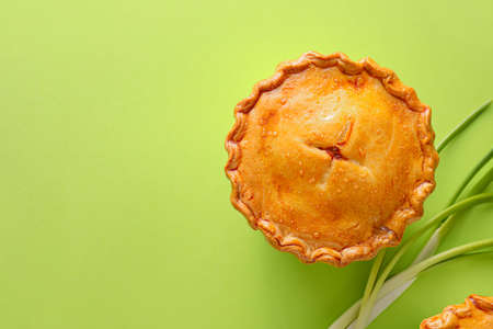 Tasty beef pot pie on color background