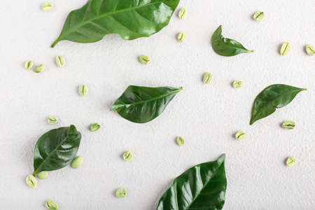 Leaves and green coffee beans on light backgroundの写真素材