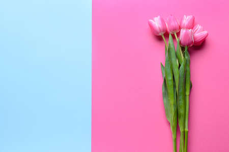 Beautiful flowers on color backgroundの写真素材