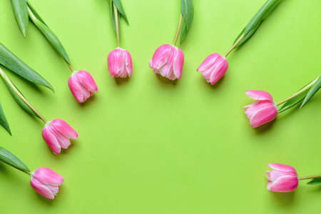 Beautiful flowers on color background