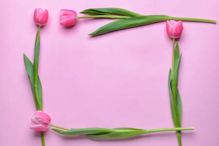 Frame made of beautiful flowers on color backgroundの写真素材