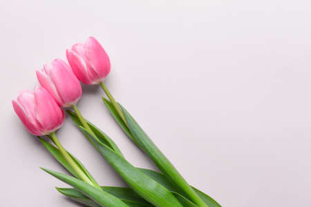 Beautiful flowers on light backgroundの写真素材