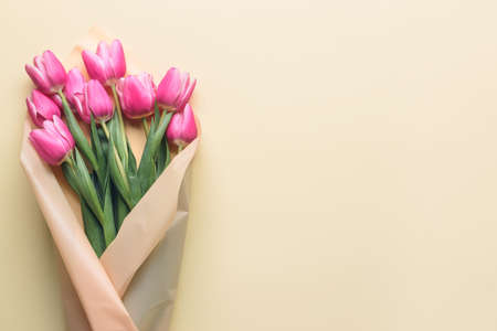 Beautiful flowers on color background