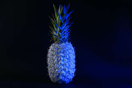 Toned painted pineapple on dark backgroundの写真素材