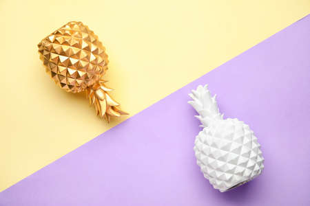 Stylish pineapples on color backgroundの写真素材