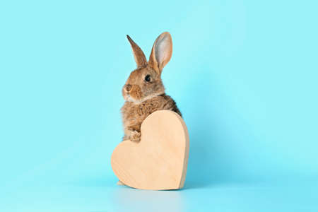 Cute fluffy rabbit with wooden heart on color background