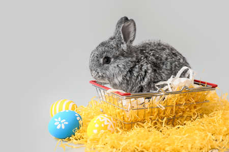 Cute fluffy rabbit with shopping basket and Easter eggs on gray backgroundの写真素材