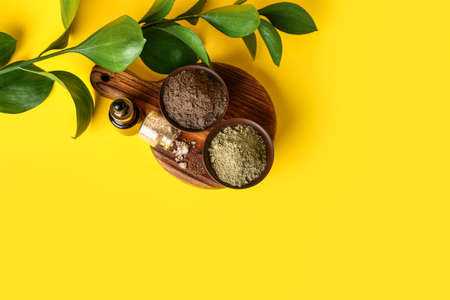 Bowls with henna powder, sea salt and essential oil on color backgroundの写真素材