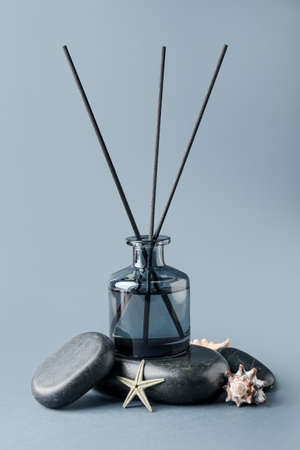 Reed diffuser with seashells and stones on color background