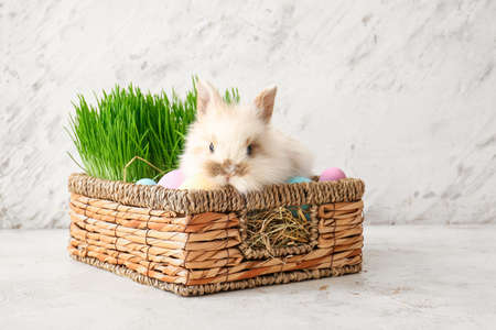Cute rabbit in basket with Easter eggs and green grass on light backgroundの写真素材