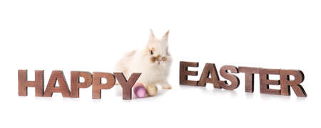 Cute rabbit, eggs and text HAPPY EASTER on white backgroundの写真素材