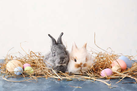 Cute rabbits and Easter eggs on table against light background