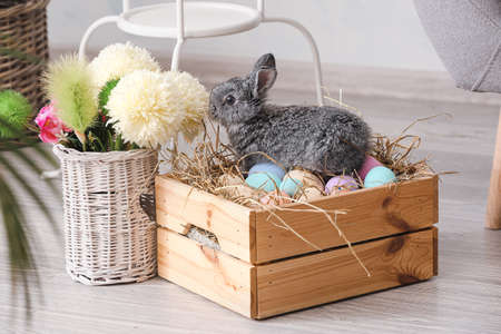 Cute rabbit, flowers and box with Easter eggs in room
