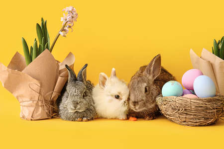 Cute rabbits and Easter eggs on color backgroundの写真素材