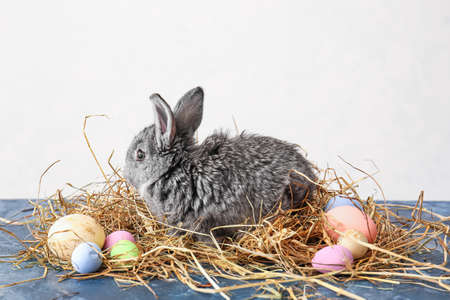 Cute rabbit and Easter eggs on table against light backgroundの写真素材