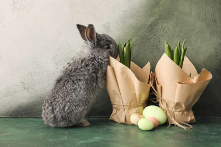 Cute rabbit, spring plants and Easter eggs on color background