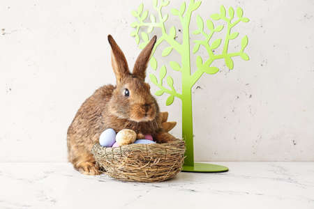 Cute rabbit, decor and Easter eggs on light background