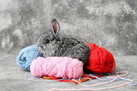 Cute funny rabbit and knitting threads on gray backgroundの写真素材