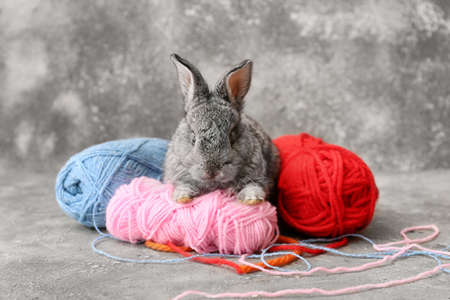 Cute funny rabbit and knitting threads on gray backgroundの写真素材