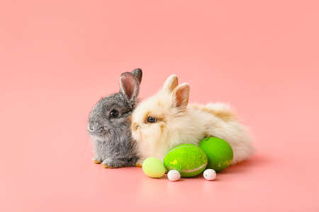 Cute rabbits and Easter eggs on color backgroundの写真素材