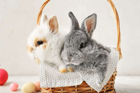 Cute rabbits in basket and Easter eggs on light backgroundの写真素材