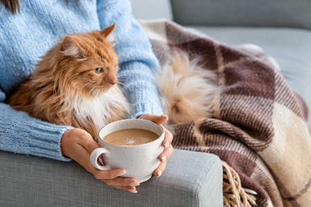 Beautiful young woman with cute cat drinking hot chocolate at home