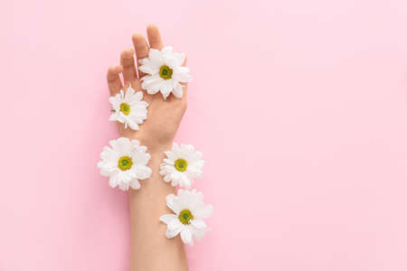 Female hand with flowers on color background