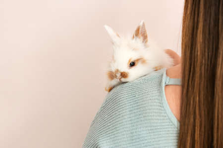 Woman with cute rabbit on light backgroundの写真素材