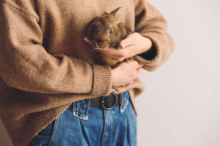 Young woman with cute rabbit on light backgroundの写真素材