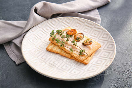 Plate with tasty crackers on dark backgroundの写真素材
