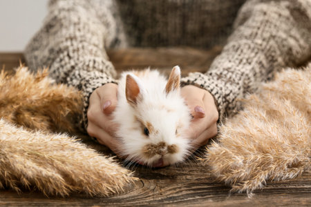 Woman with cute rabbit at home, closeupの写真素材