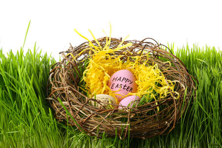Nest with Easter eggs on grass against white background