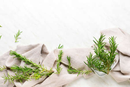 Fresh rosemary on light backgroundの写真素材