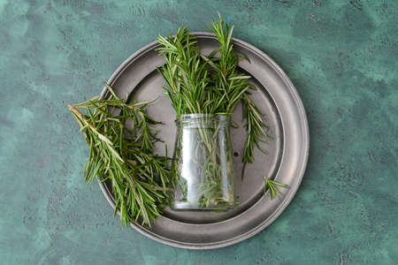 Tray with fresh rosemary on color backgroundの写真素材