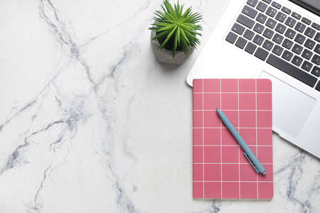 Notebook, pen, laptop and houseplant on light backgroundの写真素材