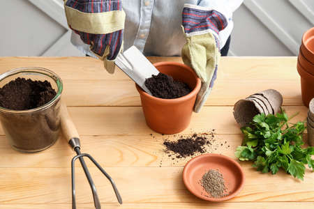 Woman filling pot with soil on wooden tableの写真素材