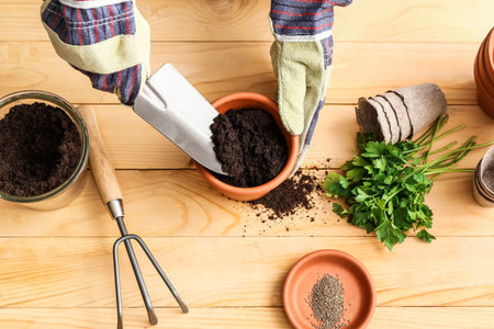 Woman filling pot with soil on wooden background