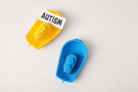 Toys with word AUTISM on white background