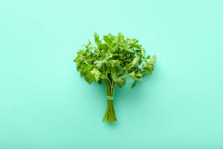 Bunch of fresh parsley on color background