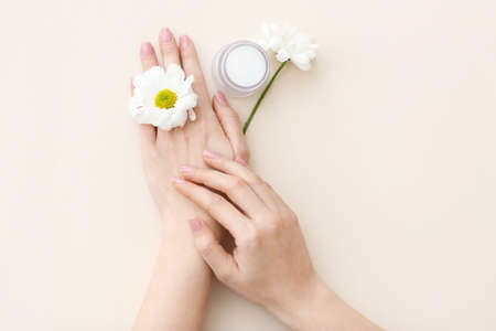 Female hands with jar of cosmetic cream and chamomile flowers on light backgroundの写真素材