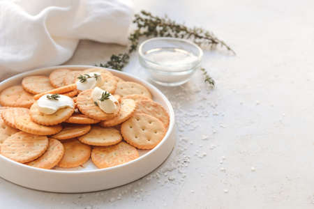 Plate of crackers with sauce on light backgroundの写真素材