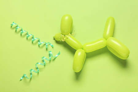 Balloon dog on color backgroundの写真素材
