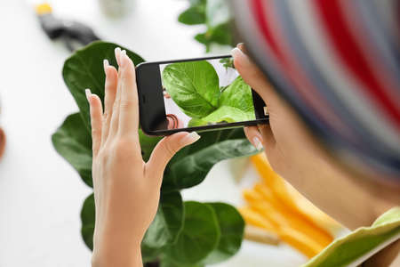 Young woman taking photo of her plants at homeの写真素材