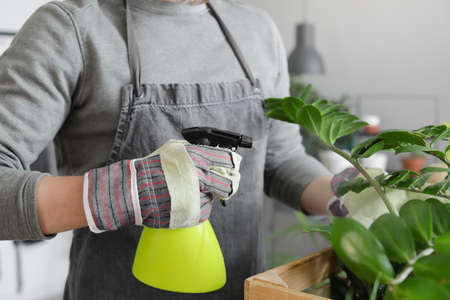 Young man taking care of plants at home