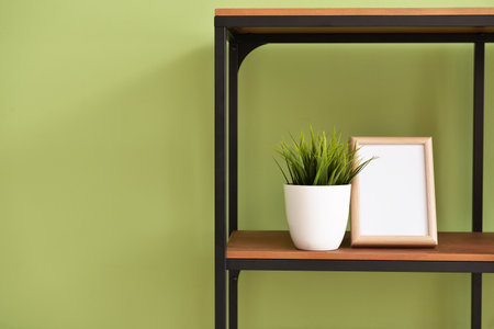 Shelf with houseplant and photo frame on color background