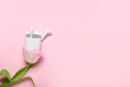 Modern earphones with case and tulip on color background
